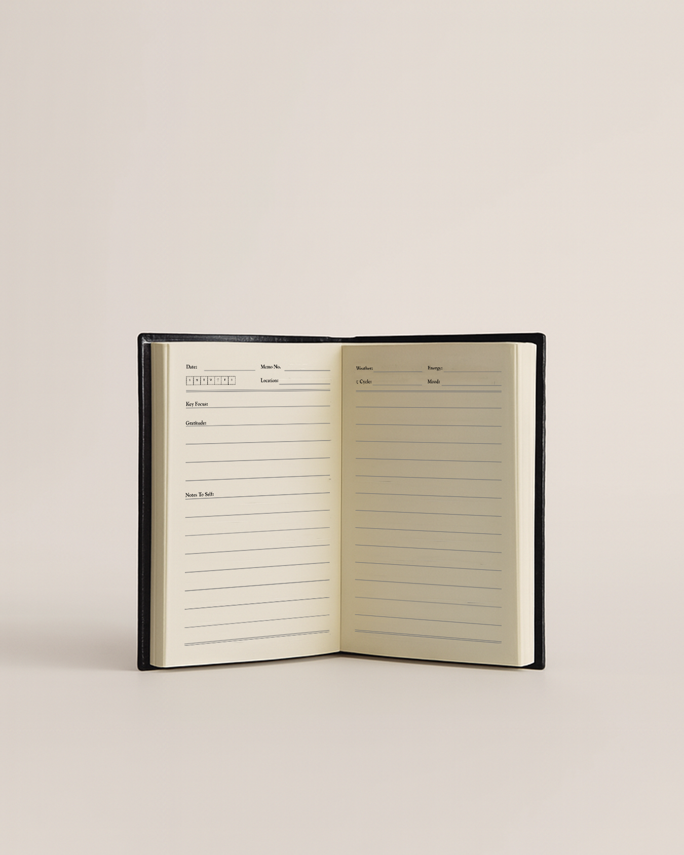 'Sol: Little Back Book' — 90's Daily Mini Pocket Notebook