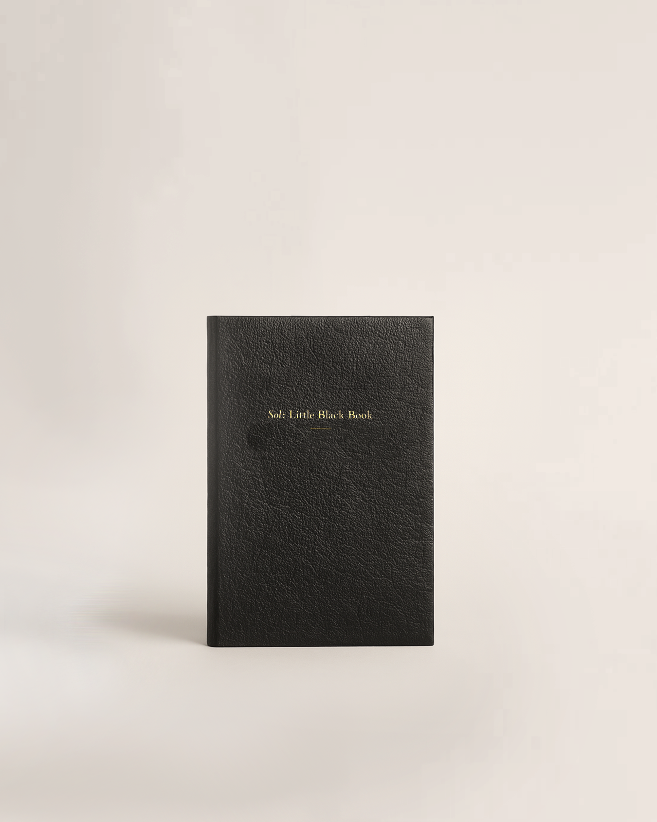 'Sol: Little Back Book' — 90's Daily Mini Pocket Notebook