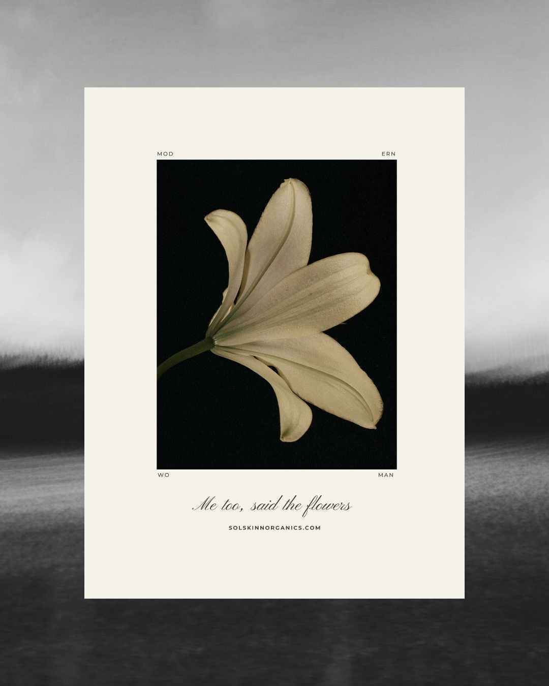 Botanical Art Print Oversized Tee No.1 {Giving Back}