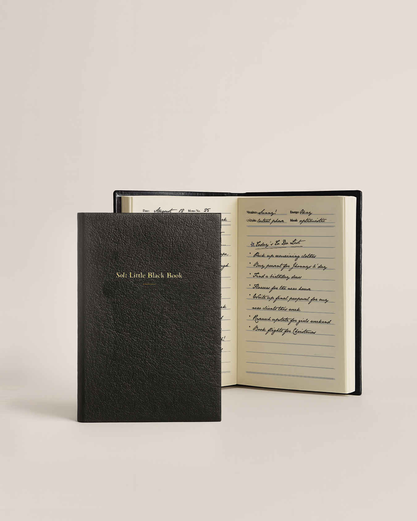 &#39;Sol: Little Back Book&#39; — 90&#39;s Daily Mini Pocket Notebook